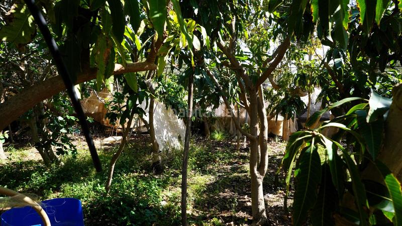 Foto 54efeb89-f3e1-4dc7-b1da-2833eb109391. Masia a Sardina Santa Lucía de Tirajana