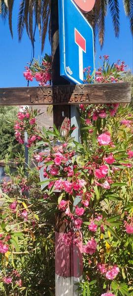 Foto eaad77cd-c25c-4342-91ad-358515e1f569. Country house in Santa Lucía de Tirajana interior Santa Lucía de Tirajana