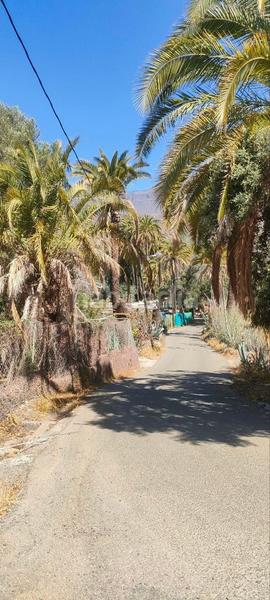 Foto ea5de436-dd90-4caf-9078-1e4aa836786b. Mas dans Santa Lucía de Tirajana interior Santa Lucía de Tirajana