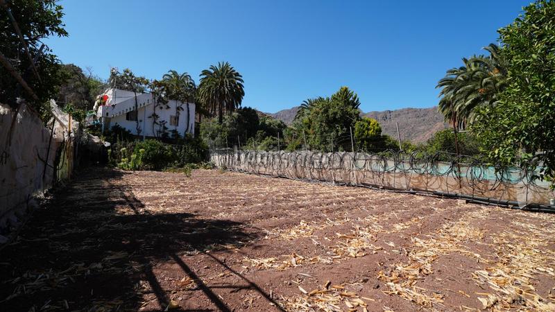 Foto 163ff926-e189-4d0b-9576-ef62c8150b17. Masía en Santa Lucía de Tirajana interior Santa Lucía de Tirajana