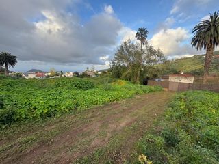 Landgut  Pasaje pasaje cactus