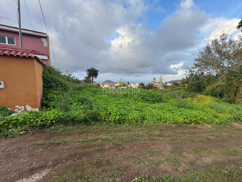 Foto 6a9c016e-97eb-4db2-af4f-e6131c4cf883. Finca rústica en Los Portales - Visvique Arucas