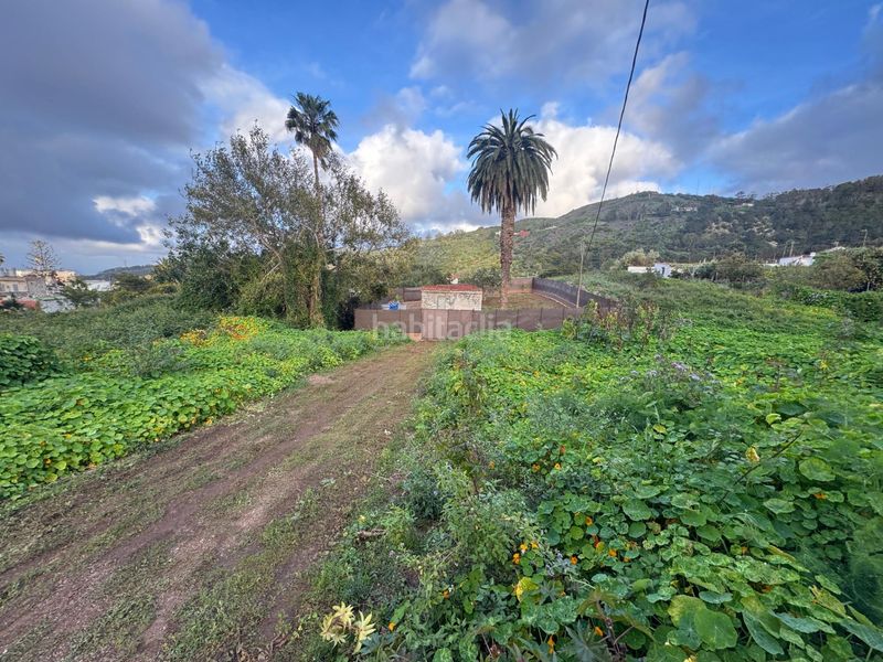 Foto 8cb04929-5bd8-45c1-8508-e557465f7984. Finca rústica en Los Portales - Visvique Arucas