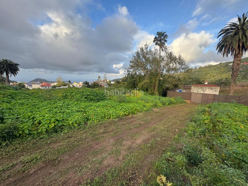 Foto cc766877-1c98-45ca-8912-3980c1f5a09e. Finca rústica en Los Portales - Visvique Arucas