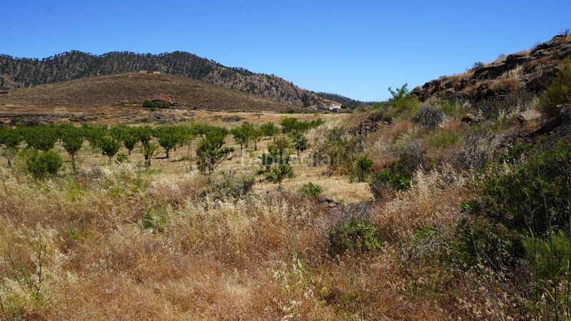 Foto 51c7b794-e4ba-44c6-b57e-61ac7c4a18ac. Finca rústica a Artenara