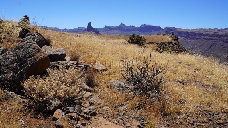 Foto 568d8739-a542-454a-b370-64d59b684d48. Finca rústica a Artenara