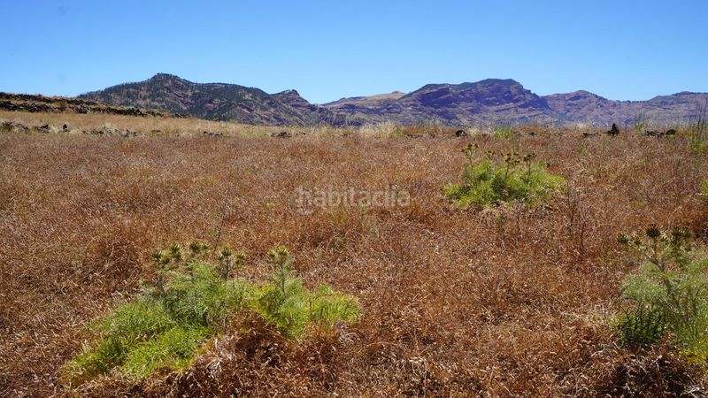 Foto 59d2afff-36b2-41c4-8b96-da16994aebc0. Finca rústica a Artenara