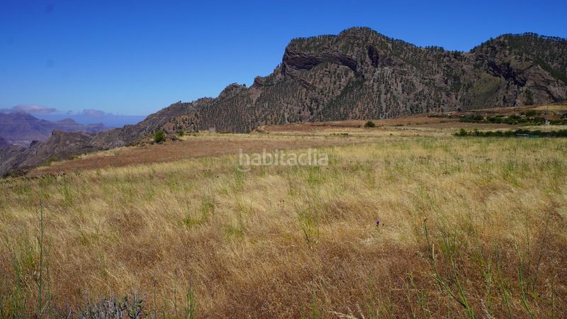 Foto 643fb732-586a-4a4a-96bd-f47323eeef18. Finca rústica a Artenara