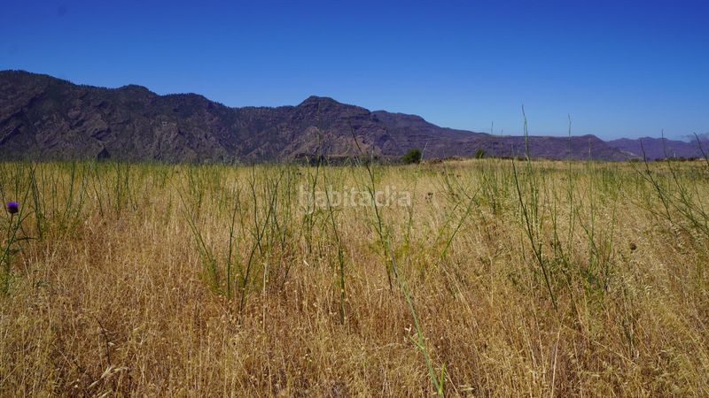 Foto 69ca7be4-3f62-44d7-a90b-2233671ee549. Finca rústica a Artenara