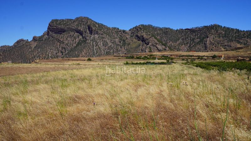 Foto 86a8b9d9-0792-49d3-9986-61519565511f. Finca rústica a Artenara