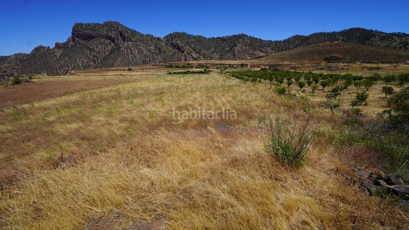 Foto 90dfc87d-f225-4cdf-8efa-ef5652448f68. Finca rústica a Artenara
