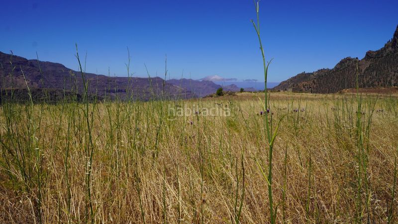 Foto 98077834-2267-4b22-9096-d8f1f551d1f3. Finca rústica a Artenara