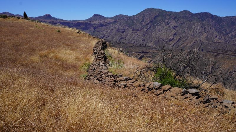 Foto a308197e-9619-4ccd-b24d-e69fbfeea488. Finca rústica a Artenara