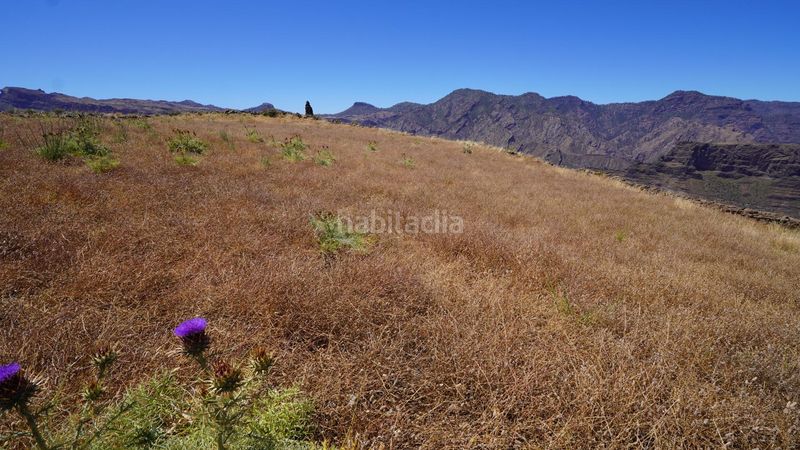 Foto a5ba0e59-855c-4aee-a96b-c3343aa9f100. Finca rústica a Artenara