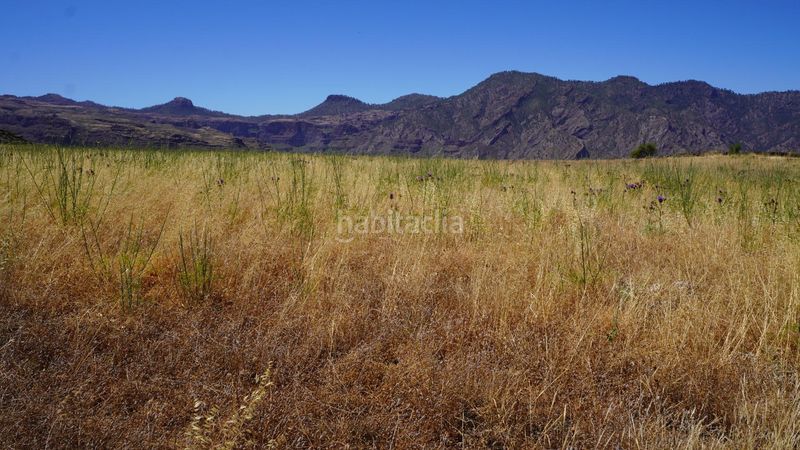 Foto baa79ee3-2757-4d31-bf98-2e634657b805. Finca rústica a Artenara