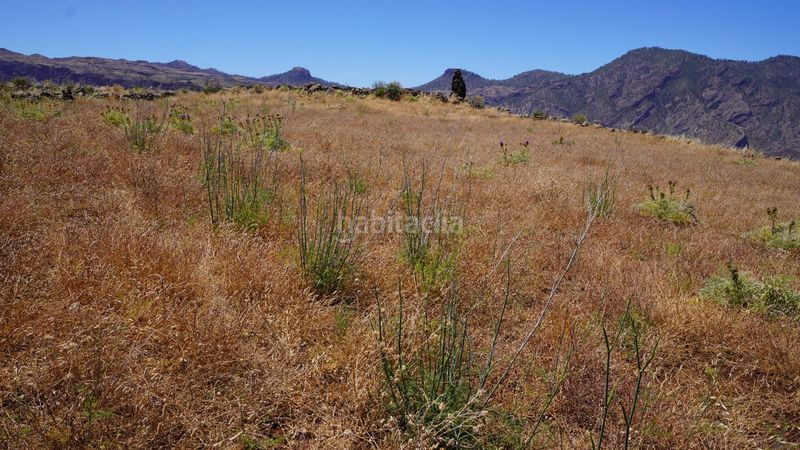 Foto be405a5a-647b-454d-a8be-48f2a77a689e. Finca rústica a Artenara