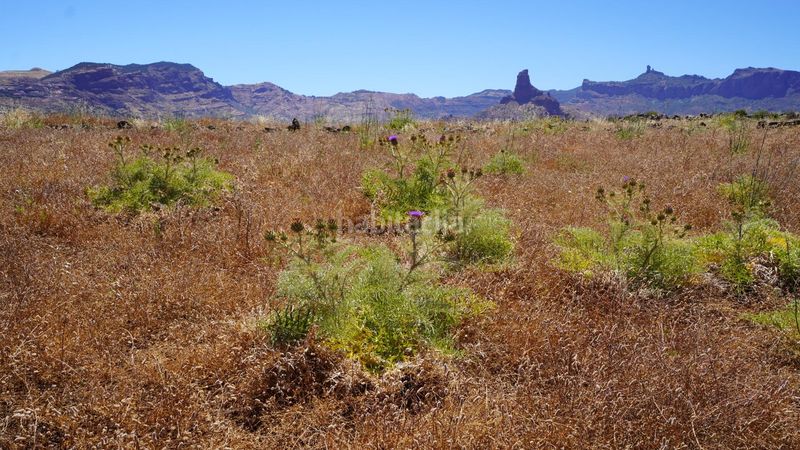 Foto cc2222c0-6ae5-4faa-9334-399946f982d0. Finca rústica a Artenara