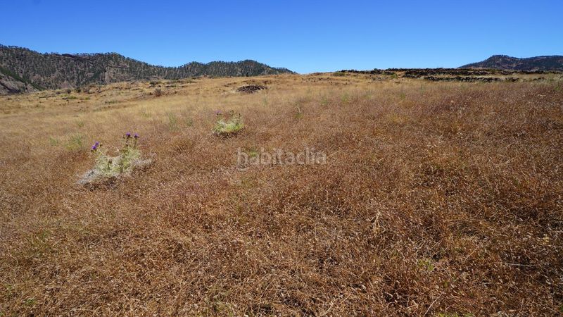 Foto e1f62aef-a764-4afb-abbb-adeaa70125a8. Finca rústica a Artenara