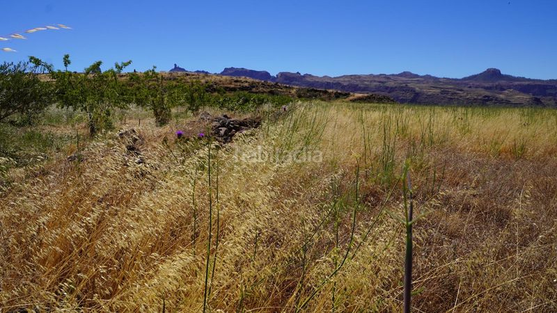 Foto e68d858c-8ac5-42ac-bf49-8502ff832f24. Finca rústica a Artenara