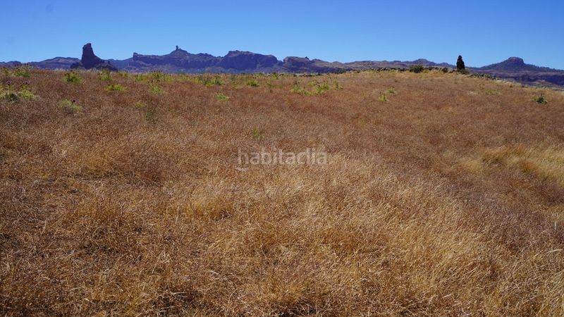 Foto f5c91e49-7005-494f-986c-029e8b6bc148. Finca rústica a Artenara