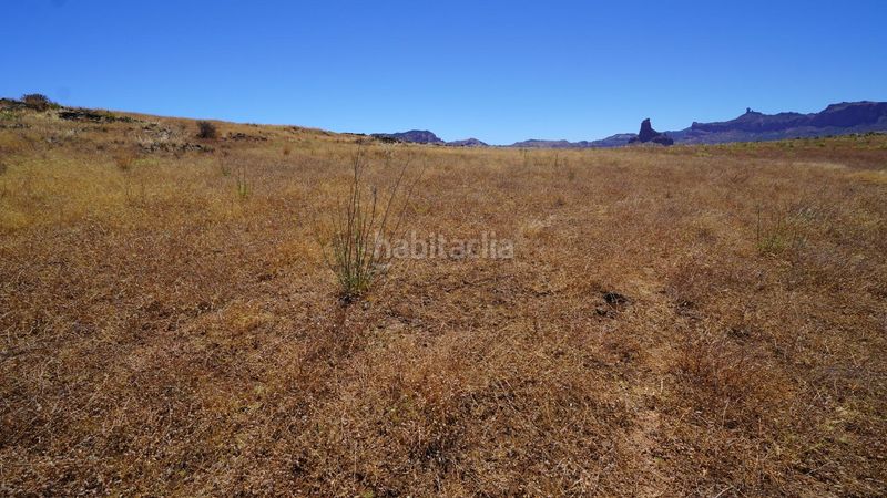 Foto fff95aa2-f74f-4505-9f0b-291b1012a28f. Finca rústica a Artenara