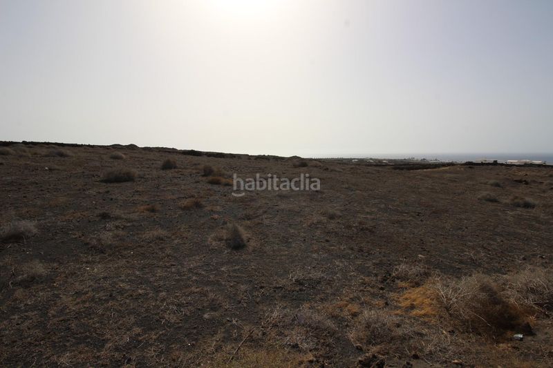 Foto 6a6d3d97-f75d-4258-a7a3-4c02b8fe041c. Finca rústica en Tías pueblo Tías