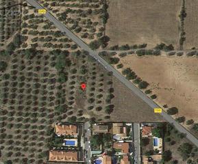 Rural plot in Poble. Suelo rústico en montroig
