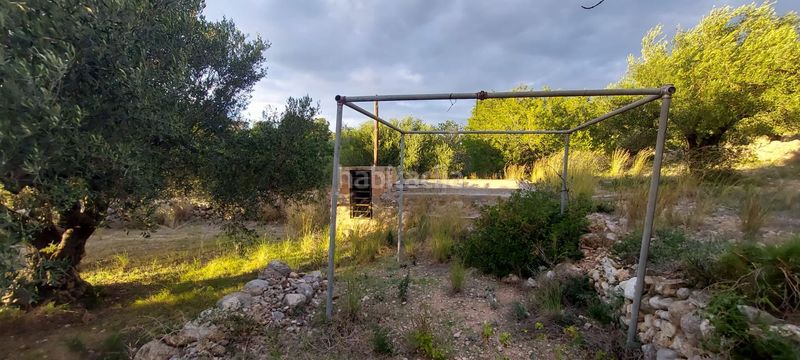 Foto 10b7a34e-884c-4c81-8fab-41635c381f53. Finca rústica finca rustica con acceso directo a la poblacion en Miami Platja