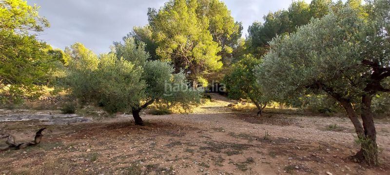 Foto 1acfe69c-cd16-45c0-852a-e399751b5bc9. Finca rústica finca rustica con acceso directo a la poblacion en Miami Platja