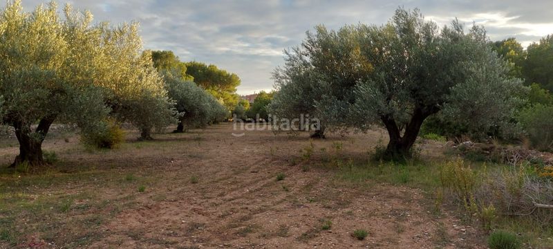 Foto 3d5d5823-40a4-4888-9565-3a9cbaa57fa5. Finca rústica finca rustica con acceso directo a la poblacion en Miami Platja