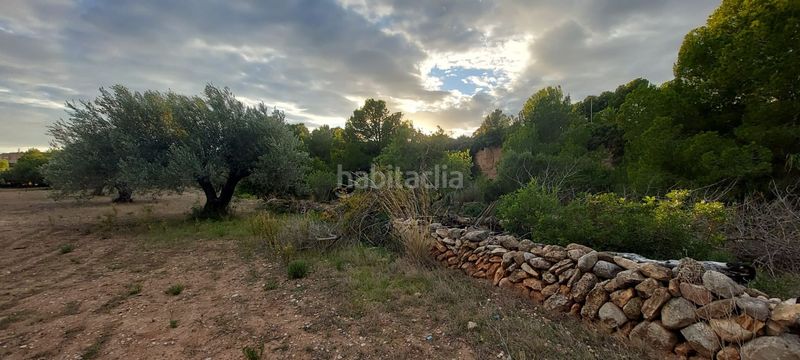 Foto 4f4b1652-466a-4417-8c62-da211a284f64. Finca rústica finca rustica con acceso directo a la poblacion en Miami Platja