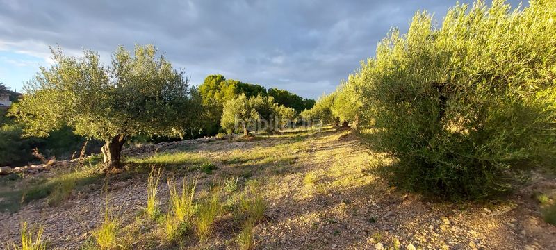 Foto 4f8be6f4-4a7c-4fc6-9217-66aba1dc3c23. Finca rústica finca rustica con acceso directo a la poblacion en Miami Platja