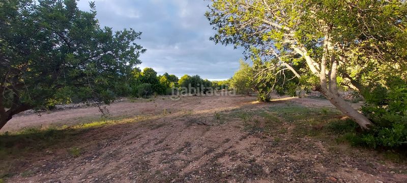 Foto 85b41539-8f54-433a-b686-1fe841b302a6. Finca rústica finca rustica con acceso directo a la poblacion en Miami Platja