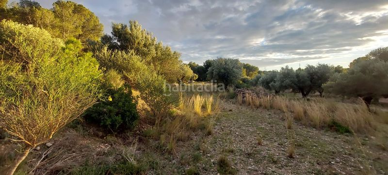 Foto 967e3dac-453b-4afe-ab8d-5e51e4d50cf2. Finca rústica finca rustica con acceso directo a la poblacion en Miami Platja