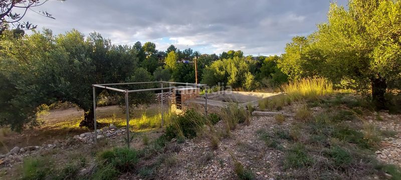 Foto 9f671baa-9768-448d-b9d8-cbc125f56ab0. Finca rústica finca rustica con acceso directo a la poblacion en Miami Platja