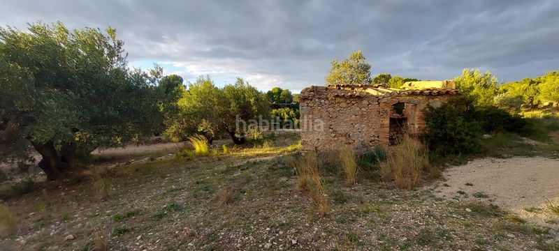 Foto bbca399e-934e-4517-9036-0ce7f167b4a8. Finca rústica finca rustica con acceso directo a la poblacion en Miami Platja