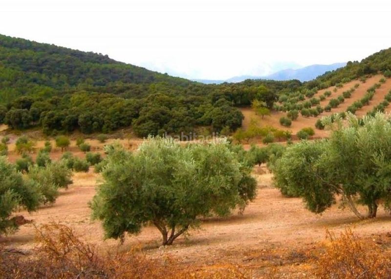 Foto e3610ca8-dfe8-4011-812f-d3b6072cc566. Finca rústica a Ascó