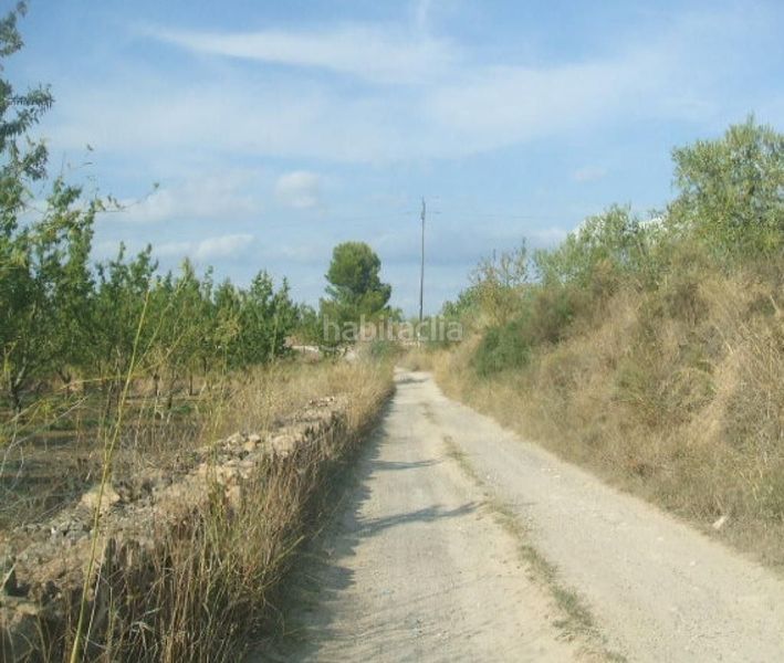 Foto b0fc7a6c-6760-4e7d-ae6a-f73ff85bdaee. Finca rústica a Tivissa