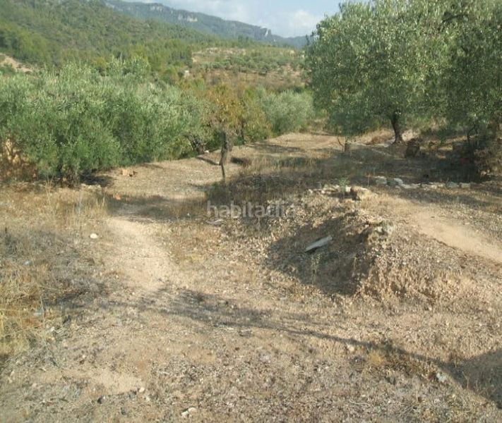 Foto ee8d0cd4-1332-40f6-982d-6cb3bc0e13da. Finca rústica a Tivissa