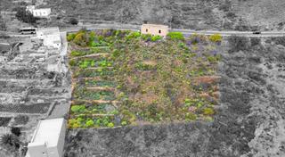Finca rstica en Carretera hoya del agua 1. Terreno rstico agrario en venta  la hoya del agua, fasnia