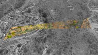 Finca rstica en Polgono 10 parcela 224 las cabez. fasnia (s.c. t 10. Terreno rstico en venta en las cabezadasfasnia