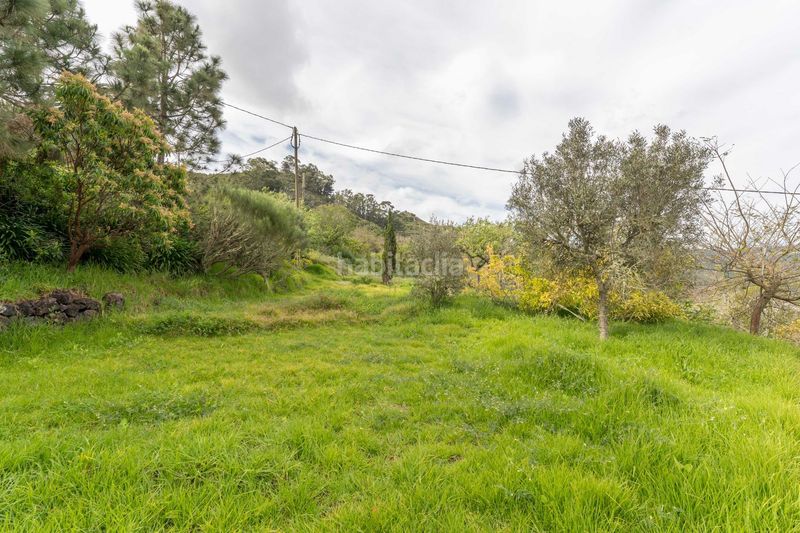 Foto da91a557-31bd-41f6-b041-c782ae06b22a. Lloguer casa amb aparcament piscina a Tegueste