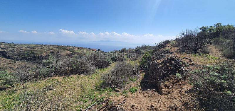 Foto f05a58ad-8740-447c-bba0-6397a3a18cbd. Finca rústica a Arico