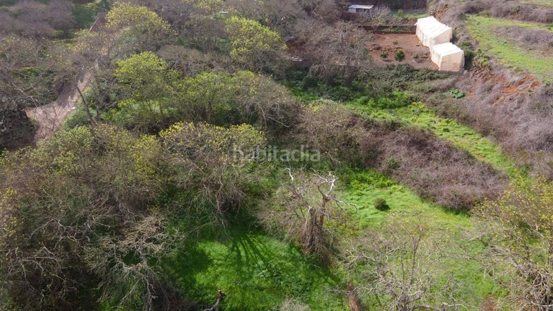 Foto 00e1dbd3-a339-46a5-a17d-939ce366c250. Finca rústica a la esperanza 17 a La Esperanza - Llano del Moro Rosario (El)