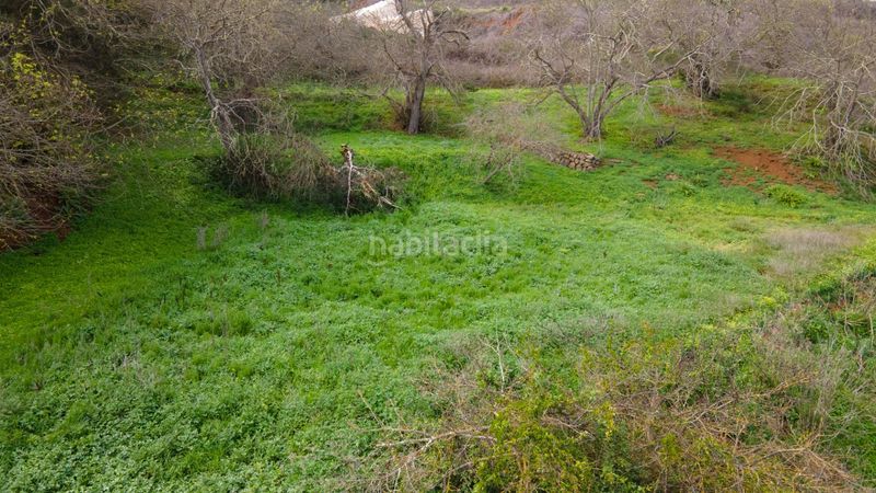 Foto 1be53e7a-07d1-4d2c-98f4-55d8f5660404. Finca rústica a la esperanza 17 a La Esperanza - Llano del Moro Rosario (El)