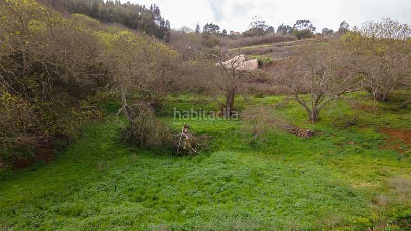 Foto 426db5ee-423d-4b14-8636-bbf1d7d25a5e. Finca rústica a la esperanza 17 a La Esperanza - Llano del Moro Rosario (El)