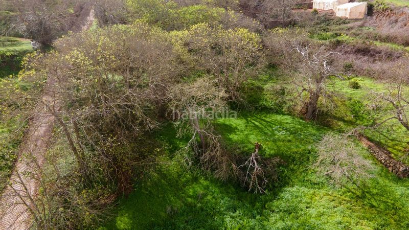 Foto 45922f47-9dde-4065-a8de-680d3af8dab8. Finca rústica a la esperanza 17 a La Esperanza - Llano del Moro Rosario (El)