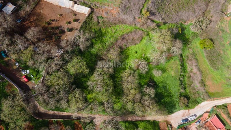 Foto 5d0f45b7-3164-4817-9196-64cde5889e74. Finca rústica a la esperanza 17 a La Esperanza - Llano del Moro Rosario (El)