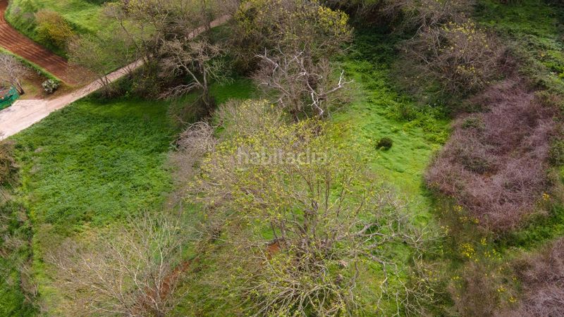 Foto 5d330faa-a2ea-4ea3-abfb-dfcfddcfbb51. Finca rústica a la esperanza 17 a La Esperanza - Llano del Moro Rosario (El)