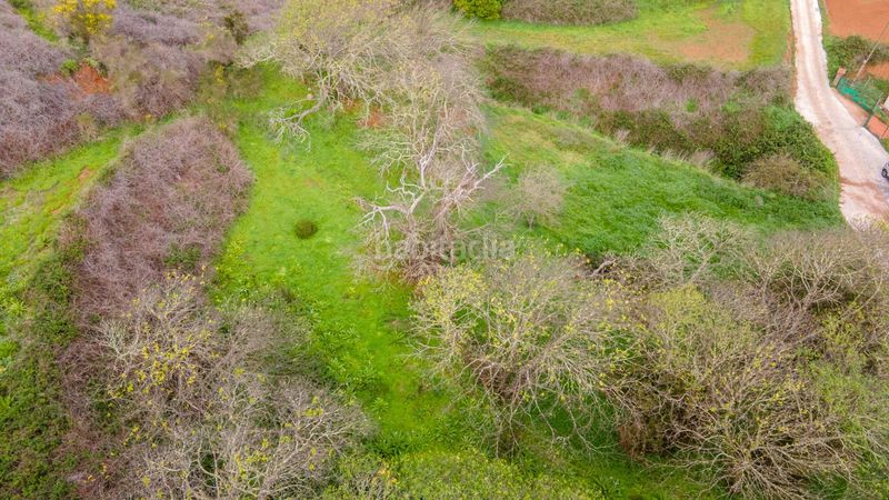 Foto 63e81580-1671-42f7-8f7a-dd78d34830f5. Finca rústica a la esperanza 17 a La Esperanza - Llano del Moro Rosario (El)